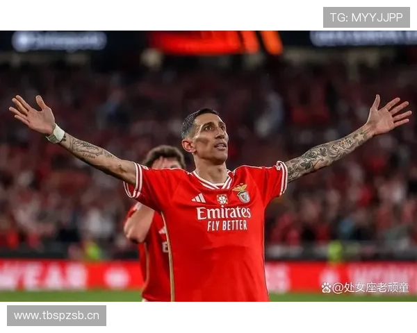 帕尔默与迪马利亚的左脚技术与进攻创造，风格差异在哪？