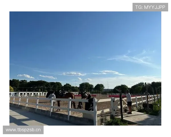 富里睡醒发现自家马场又多了一匹纯血小马，账单还没付清呢